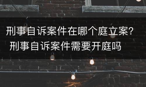 刑事自诉案件在哪个庭立案？ 刑事自诉案件需要开庭吗