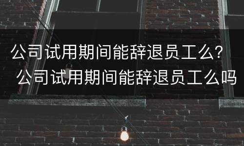 公司试用期间能辞退员工么？ 公司试用期间能辞退员工么吗