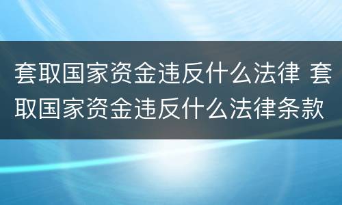 套取国家资金违反什么法律 套取国家资金违反什么法律条款