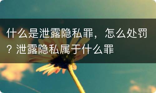 什么是泄露隐私罪，怎么处罚? 泄露隐私属于什么罪