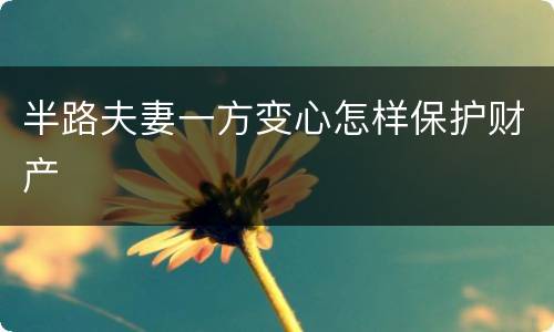半路夫妻一方变心怎样保护财产