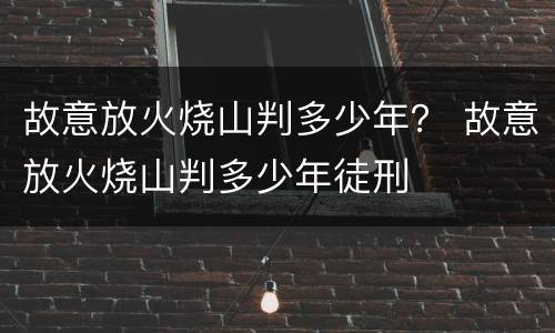 故意放火烧山判多少年？ 故意放火烧山判多少年徒刑