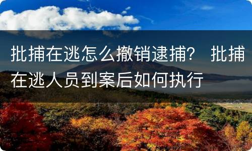 批捕在逃怎么撤销逮捕？ 批捕在逃人员到案后如何执行