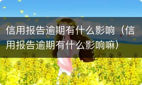 信用报告逾期有什么影响（信用报告逾期有什么影响嘛）