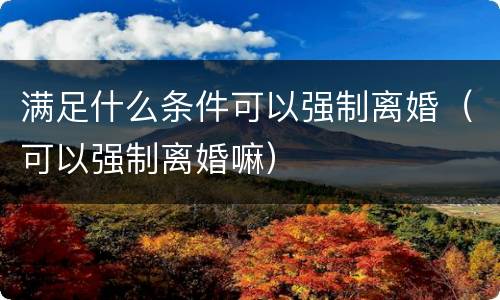 满足什么条件可以强制离婚（可以强制离婚嘛）