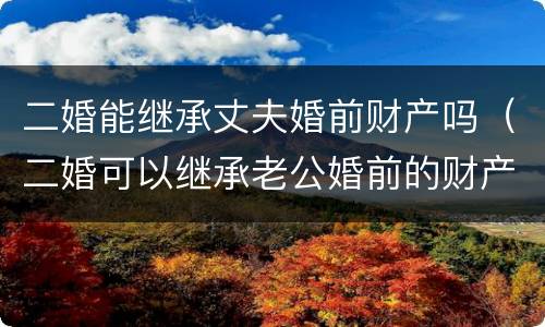 二婚能继承丈夫婚前财产吗（二婚可以继承老公婚前的财产吗）