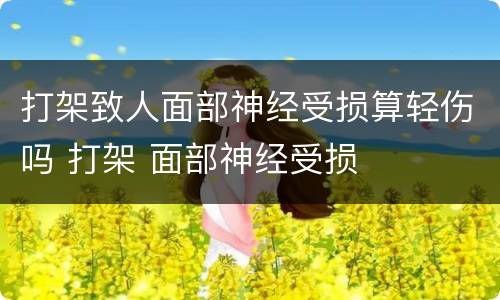 打架致人面部神经受损算轻伤吗 打架 面部神经受损