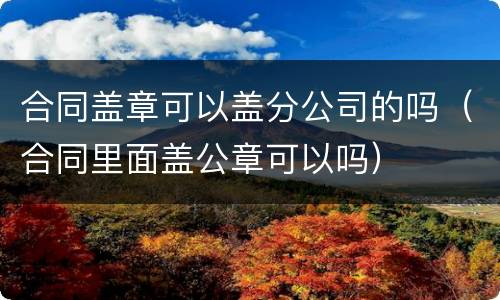 合同盖章可以盖分公司的吗（合同里面盖公章可以吗）