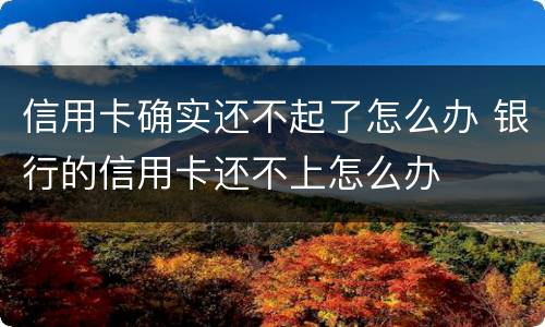 信用卡确实还不起了怎么办 银行的信用卡还不上怎么办
