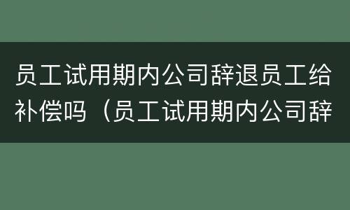 员工试用期内公司辞退员工给补偿吗（员工试用期内公司辞退员工给补偿吗怎么算）