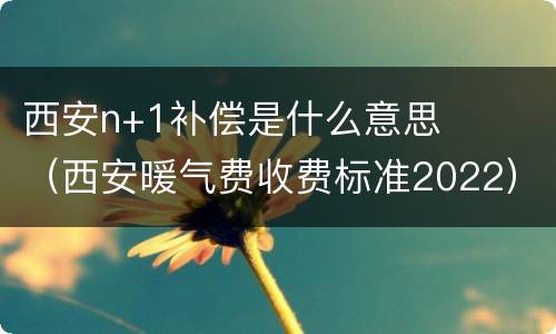 西安n+1补偿是什么意思（西安暖气费收费标准2022）