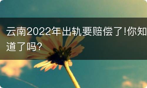 云南2022年出轨要赔偿了!你知道了吗?