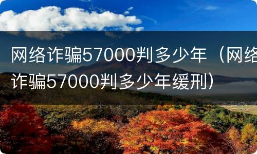网络诈骗57000判多少年（网络诈骗57000判多少年缓刑）