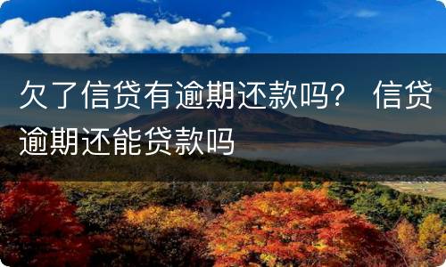 欠了信贷有逾期还款吗？ 信贷逾期还能贷款吗