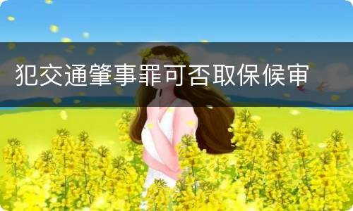 犯交通肇事罪可否取保候审