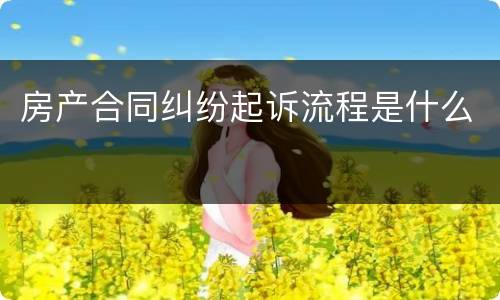 房产合同纠纷起诉流程是什么