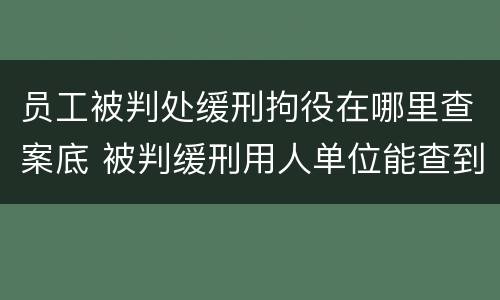 员工被判处缓刑拘役在哪里查案底 被判缓刑用人单位能查到吗