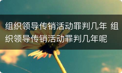 组织领导传销活动罪判几年 组织领导传销活动罪判几年呢