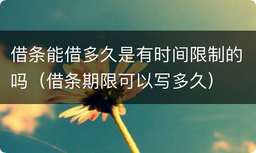 借条能借多久是有时间限制的吗（借条期限可以写多久）