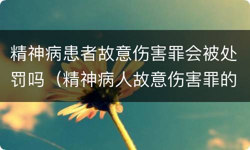 精神病患者故意伤害罪会被处罚吗（精神病人故意伤害罪的刑事程序）