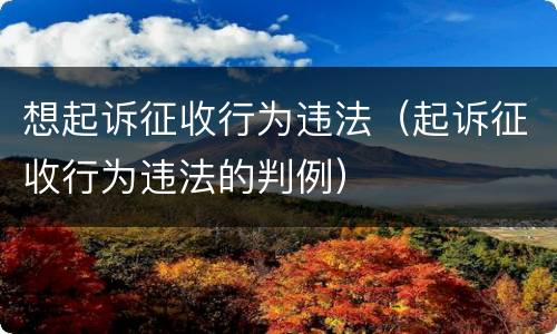想起诉征收行为违法（起诉征收行为违法的判例）