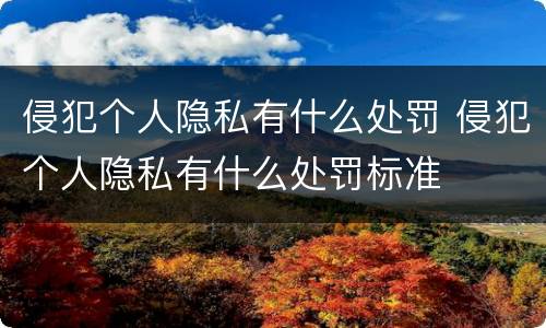 侵犯个人隐私有什么处罚 侵犯个人隐私有什么处罚标准