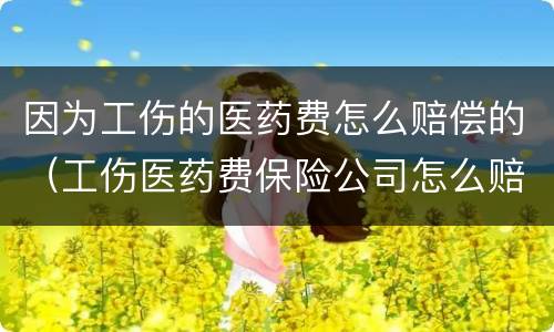 因为工伤的医药费怎么赔偿的（工伤医药费保险公司怎么赔偿）