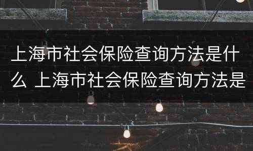 上海市社会保险查询方法是什么 上海市社会保险查询方法是什么样的