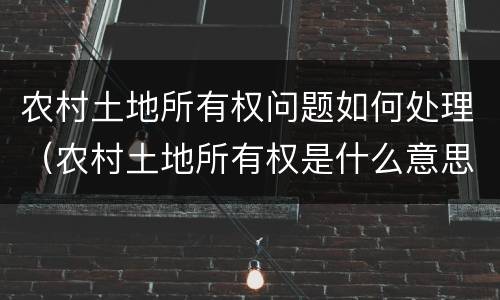 农村土地所有权问题如何处理（农村土地所有权是什么意思）