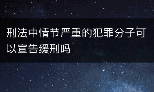 刑法中情节严重的犯罪分子可以宣告缓刑吗