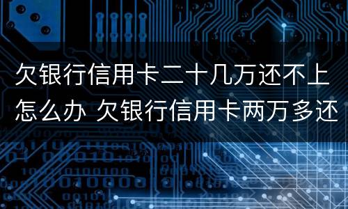 欠银行信用卡二十几万还不上怎么办 欠银行信用卡两万多还不起怎么办