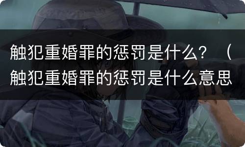 触犯重婚罪的惩罚是什么？（触犯重婚罪的惩罚是什么意思）