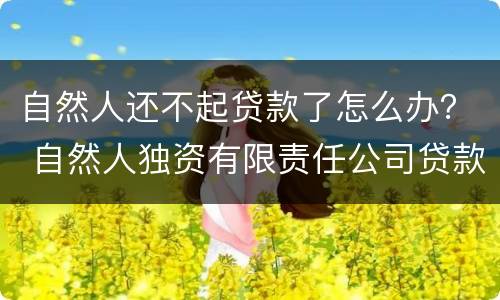 自然人还不起贷款了怎么办？ 自然人独资有限责任公司贷款还不了怎么办