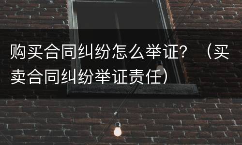 购买合同纠纷怎么举证？（买卖合同纠纷举证责任）