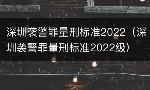深圳袭警罪量刑标准2022（深圳袭警罪量刑标准2022级）