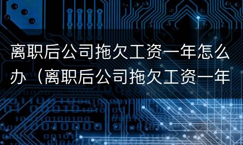 离职后公司拖欠工资一年怎么办（离职后公司拖欠工资一年怎么办理）