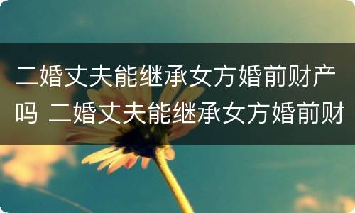 二婚丈夫能继承女方婚前财产吗 二婚丈夫能继承女方婚前财产吗