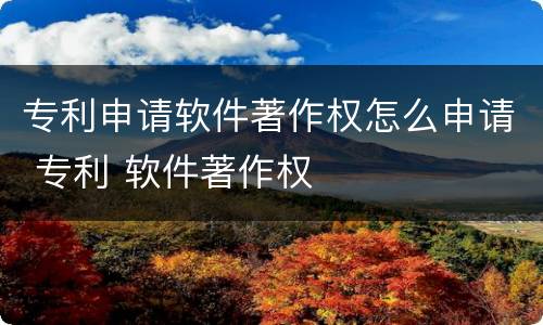专利申请软件著作权怎么申请 专利 软件著作权