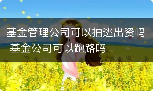 基金管理公司可以抽逃出资吗 基金公司可以跑路吗