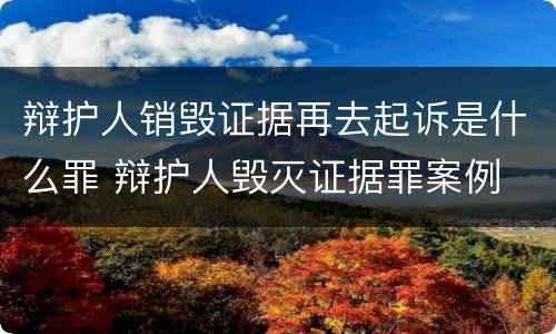 辩护人销毁证据再去起诉是什么罪 辩护人毁灭证据罪案例