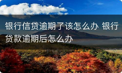 银行信贷逾期了该怎么办 银行贷款逾期后怎么办