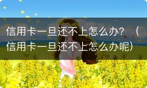 信用卡一旦还不上怎么办？（信用卡一旦还不上怎么办呢）