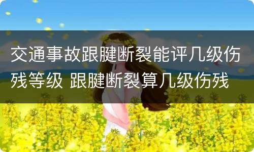 交通事故跟腱断裂能评几级伤残等级 跟腱断裂算几级伤残