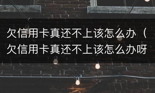欠信用卡真还不上该怎么办（欠信用卡真还不上该怎么办呀）