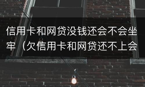 信用卡和网贷没钱还会不会坐牢（欠信用卡和网贷还不上会坐牢吗）