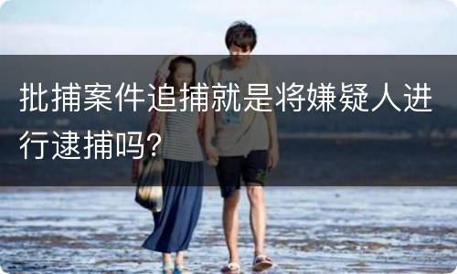 批捕案件追捕就是将嫌疑人进行逮捕吗？