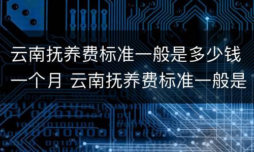 云南抚养费标准一般是多少钱一个月 云南抚养费标准一般是多少钱一个月啊