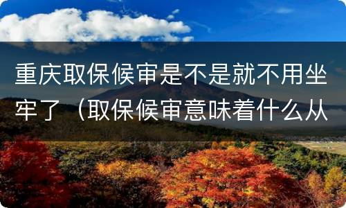 重庆取保候审是不是就不用坐牢了（取保候审意味着什么从轻处罚吗）