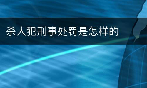 杀人犯刑事处罚是怎样的