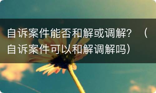 自诉案件能否和解或调解？（自诉案件可以和解调解吗）